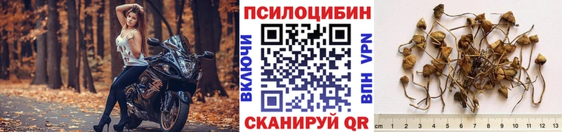 Псилоцибиновые грибы MAGIC MUSHROOMS  Тосно 